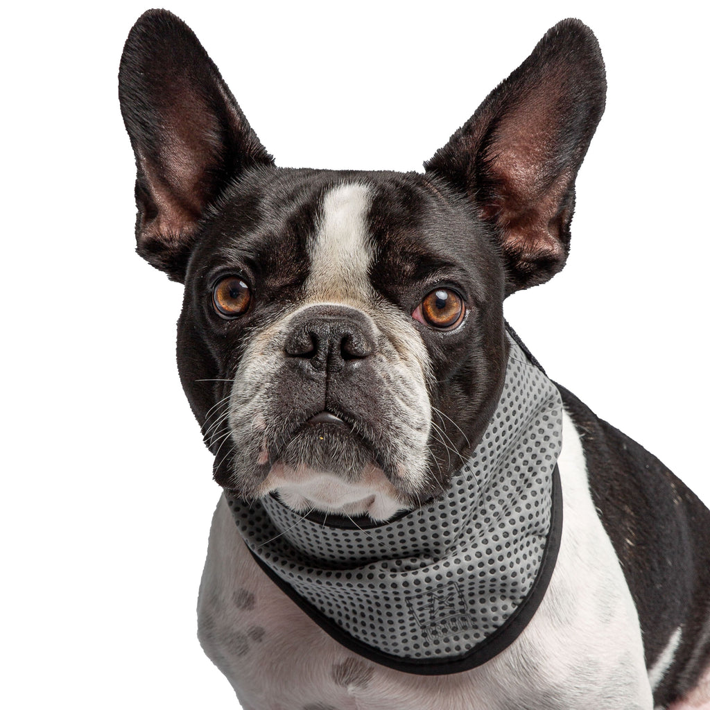 US Army Dog Cooling Bandana — Tactical Grey Ice Pack Wrap