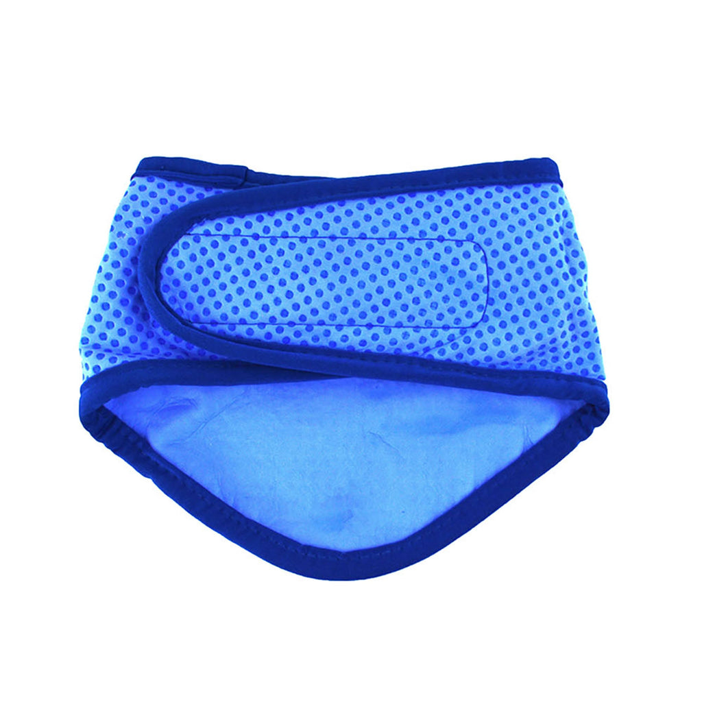 ICE BAND Dog Cooling Bandana — Reusable Ice Pack Neck Wrap (Blue)