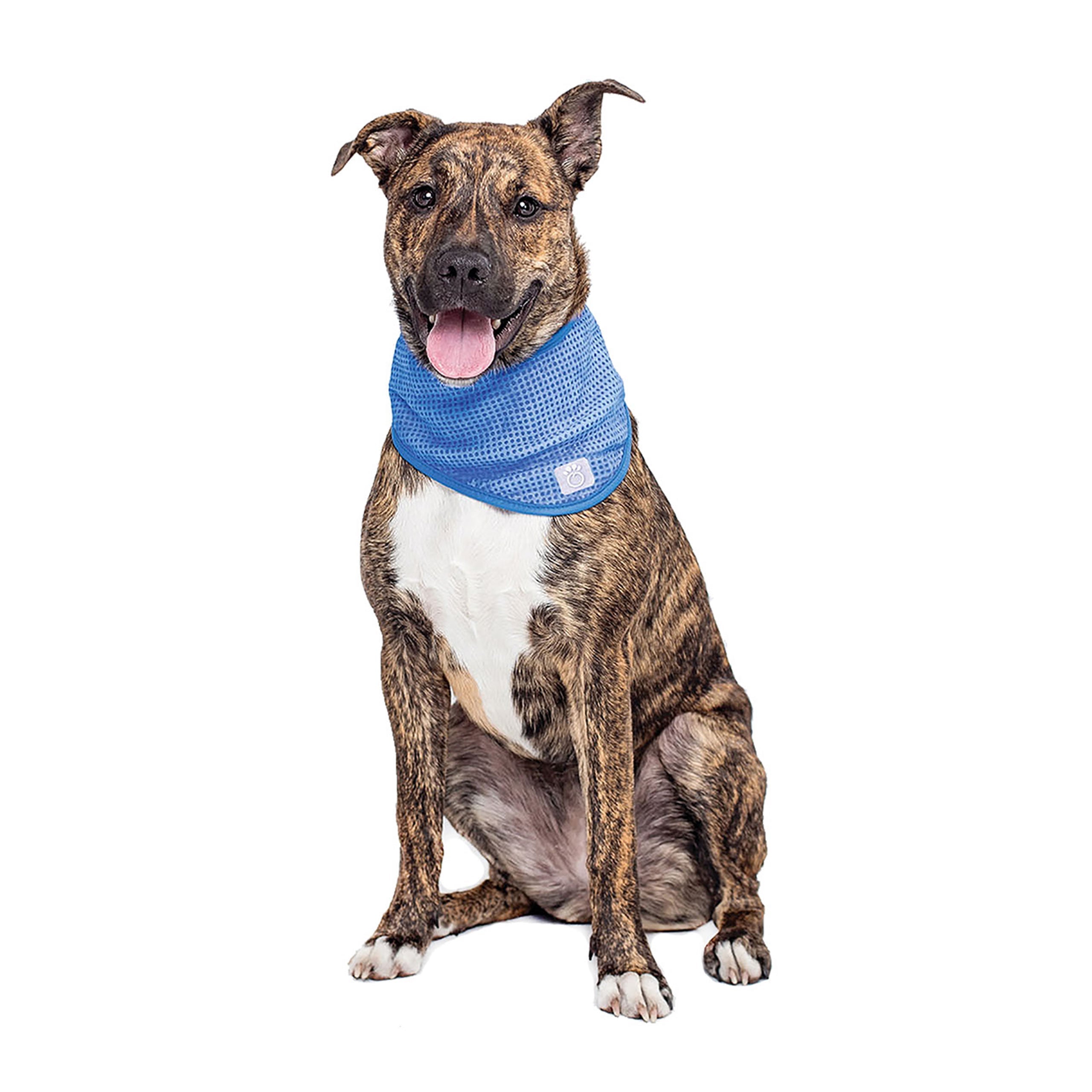 ICE BAND Dog Cooling Bandana — Reusable Ice Pack Neck Wrap (Blue)