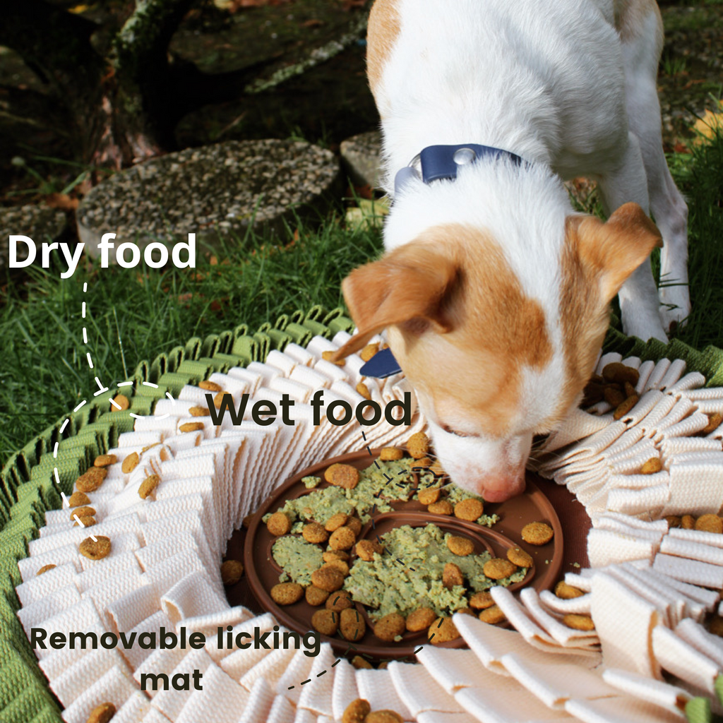 Freezable Dog Lick Mat — Slow Feeder for Calm, Cool Enrichment